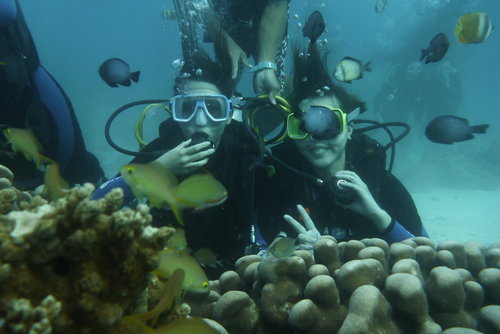 菲律賓長灘島馬力歐潛水店