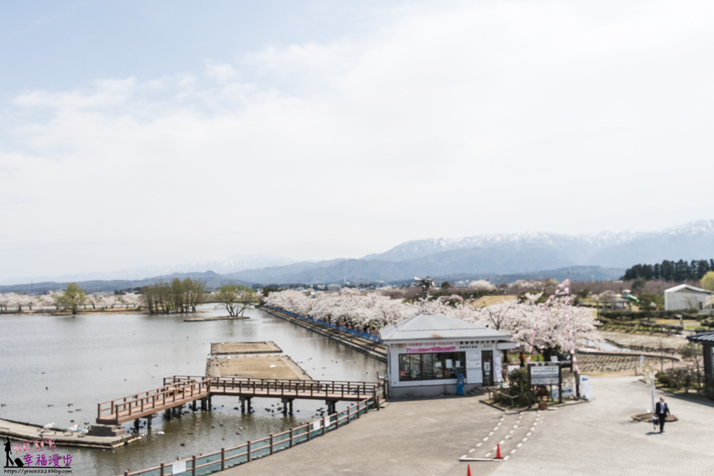 新潟瓢湖