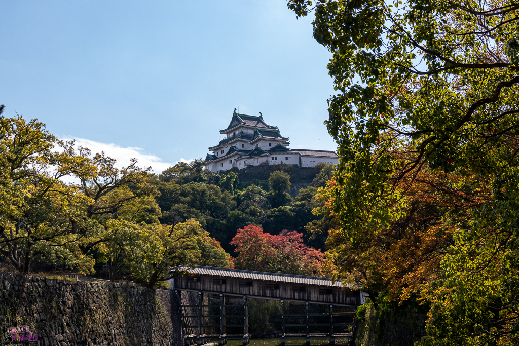 網站近期文章：和歌山城｜和歌山縣日本–日本百大名城之一，賞櫻、賞楓的絕佳景點