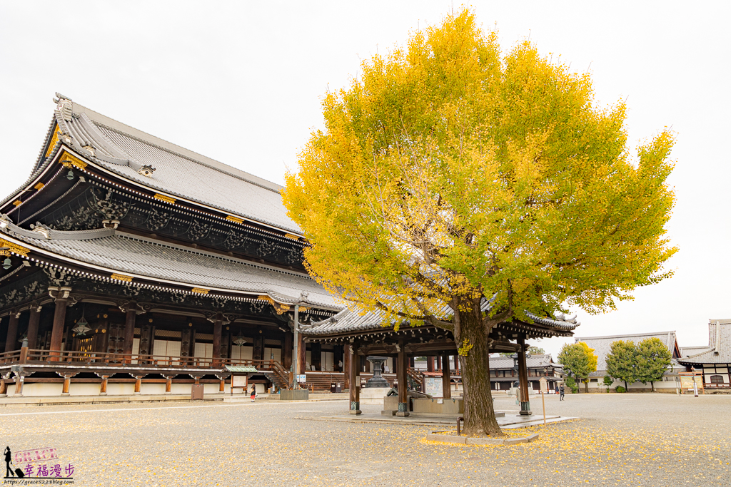 東本願寺｜京都日本–離京都車站很近的景點，京都最大的木製建築，也是欣賞銀杏的地方