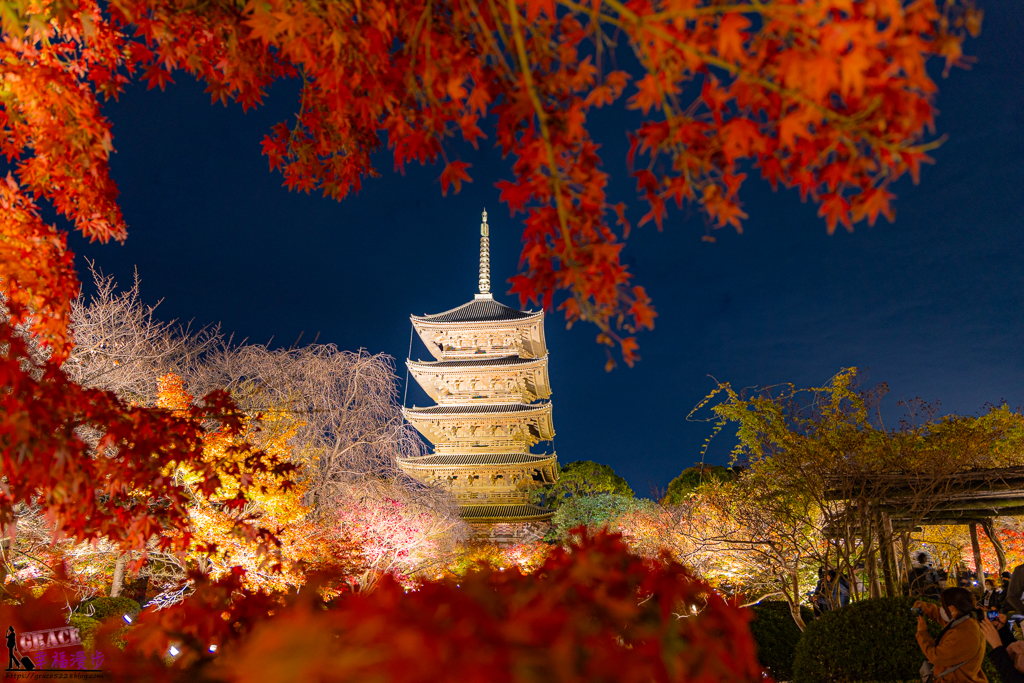 東寺｜京都市日本–京都最古老的寺院欣賞絕美的夜楓，不論是白天與夜晚都很美的賞楓景點