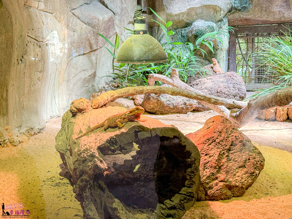 富國島珍珠野生動物園